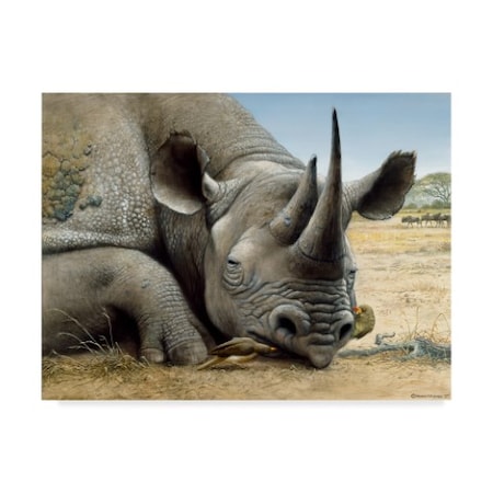 Harro Maass 'Black Rhino' Canvas Art,24x32